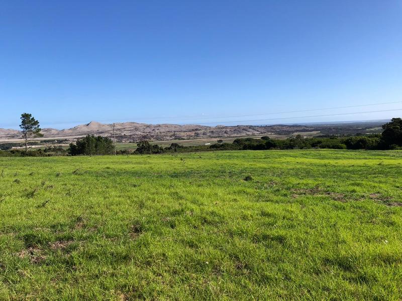 0 Bedroom Property for Sale in Baardskeerdersbos Western Cape